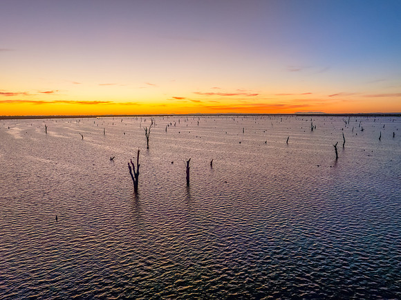 Sunrise over Lake Mulwala and the dead River Gum trees