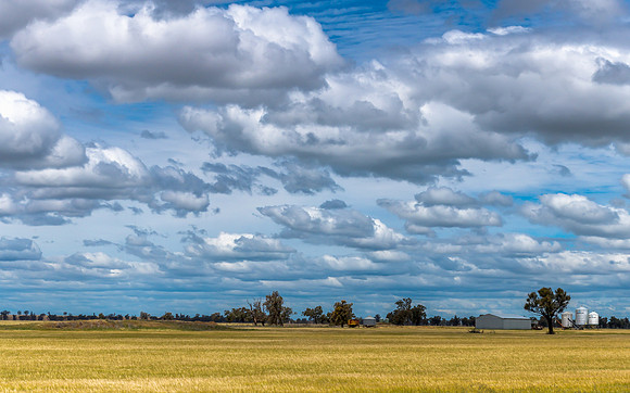 Clouds over the golden pastures in the Riverina countryside