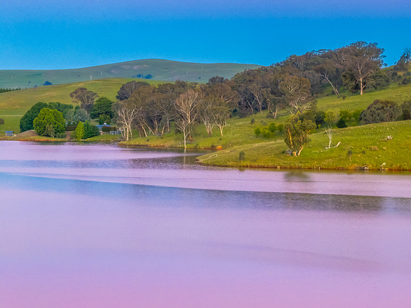 Clear Sky Soft Pink Sunset Over Carcoar Dam