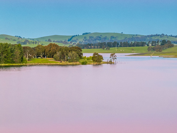 Clear Sky Soft Pink Sunset Over Carcoar Dam