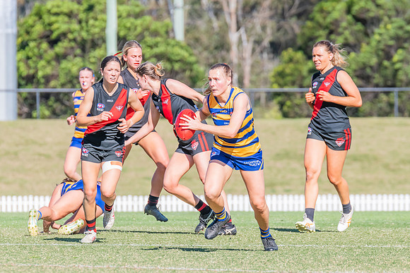 WPD Elimination Final - North Shore v Sydney Uni - 1 September 2