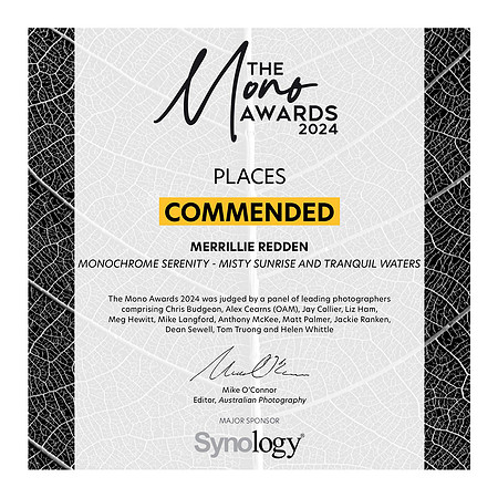2024 The Mono Awards - Commended
