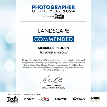 2024 Photographer of the Year - Commended