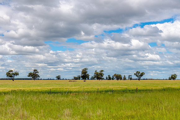 Clouds over the green pastures in the Riverina countryside