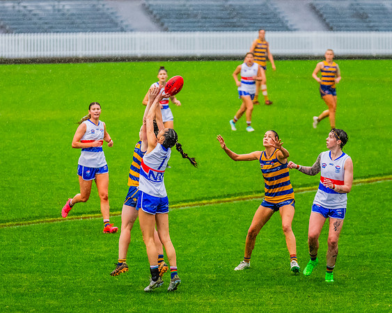 Rd 8 WPD - UNSW-ES v Sydney Uni - 1 June 2024