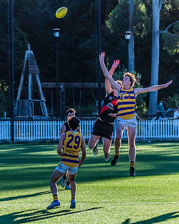Rd 3 MPD - North Shore v Sydney Uni - 23 April 2022