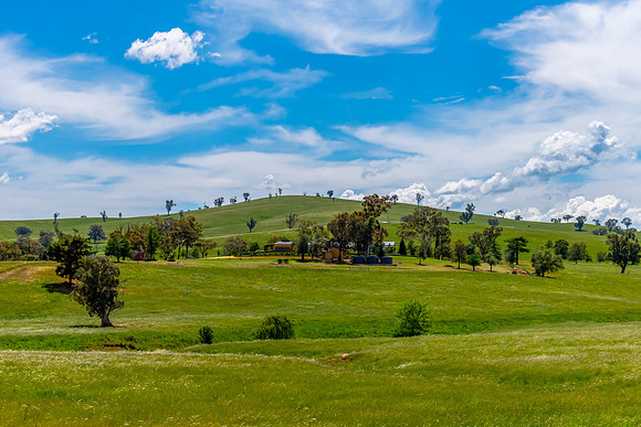 Fields and pastures around the Cowra region in Spring