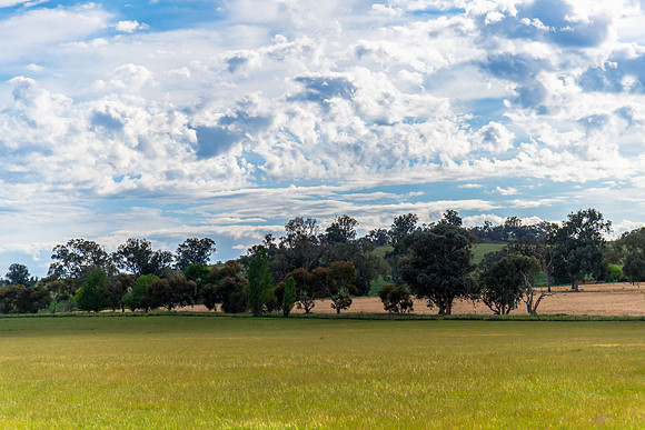 Riverina Countryside in Spring – Lush Fields Under Clouded Ski