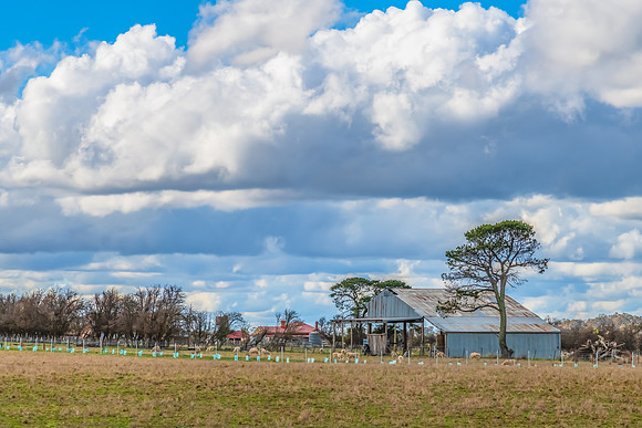 A Winter sky over a farm with sheep and buildings