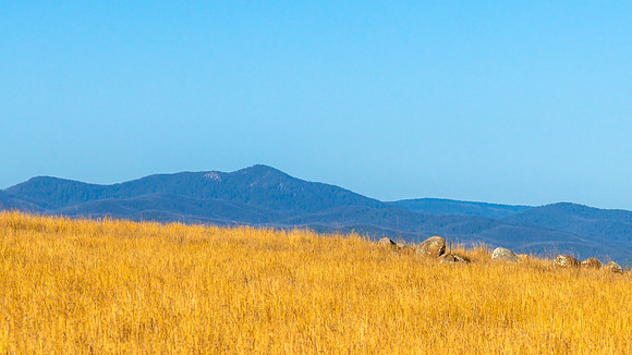 Dry Summer Countryside in the Southern Tablelands