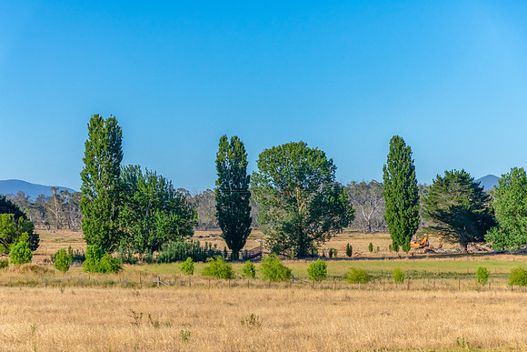 Dry Summer Countryside in the Southern Tablelands