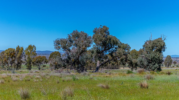 Winton Wetlands Reserve