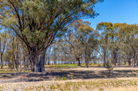 Winton Wetlands Reserve