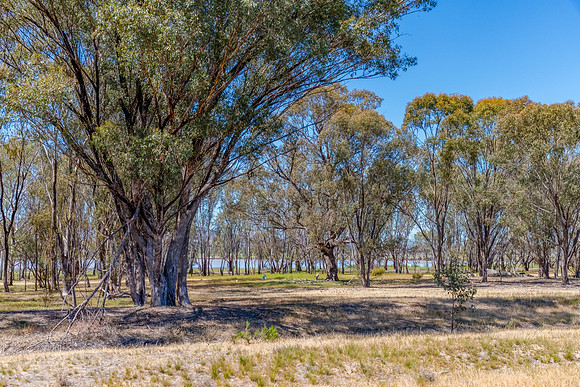 Winton Wetlands Reserve