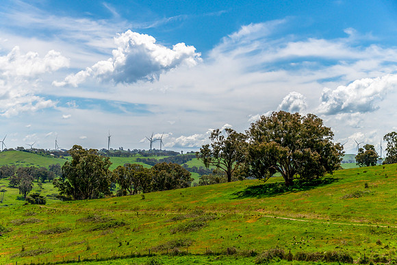 Tranquil Spring countryside in the Central West of NSW