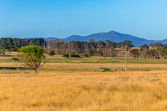 Dry Summer Countryside in the Southern Tablelands