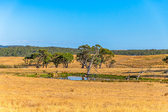 Dry Summer Countryside in the Southern Tablelands
