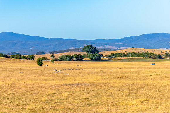 Dry Summer Countryside in the Southern Tablelands