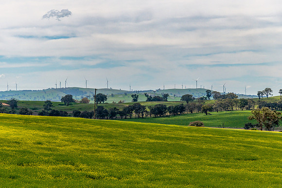 Tranquil Spring countryside in the Central West of NSW