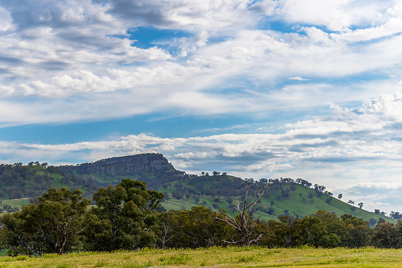 Rolling hills and gum trees in the Riverina Countryside