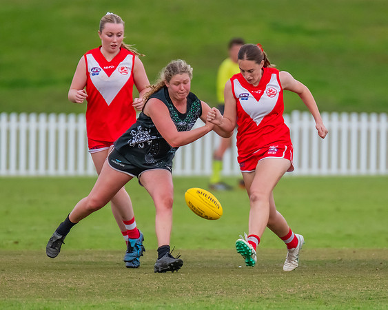 Rd 7 WPD - St George v UTS - 25 May 2024