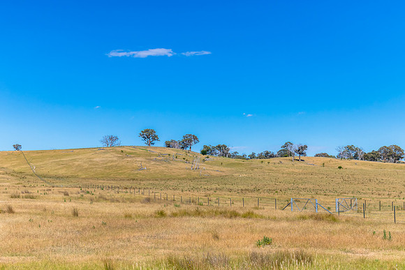 Summer's fields in the Upper Lachlan Shire countryside