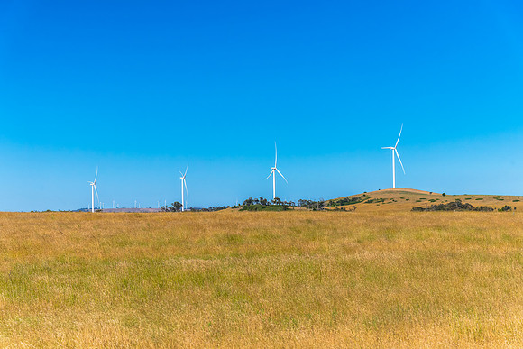 Summer's fields and wind turbines around Crookwell
