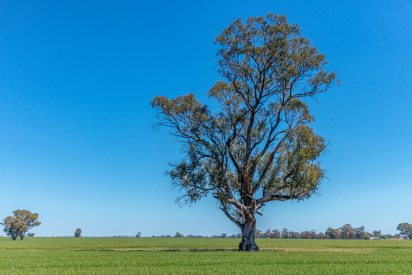 Scenic countryside around Lake Rowan in Victoria
