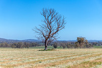 Rural countryside around Glenrowan in Victoria