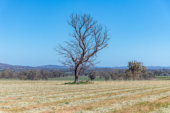Rural countryside around Glenrowan in Victoria