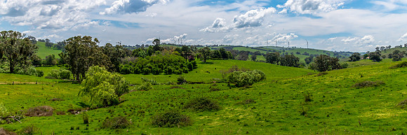 Tranquil Spring countryside in the Central West of NSW