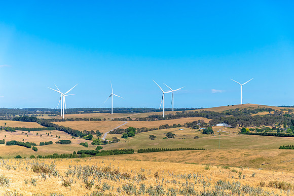 Summer's fields and wind turbines around Crookwell