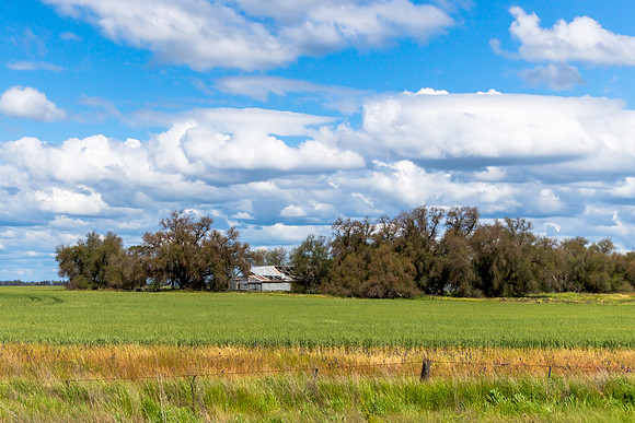 Clouds over the green pastures in the Riverina countryside