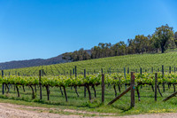 Rural countryside around Glenrowan in Victoria