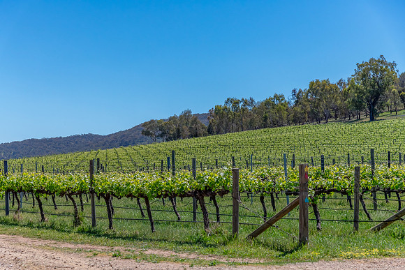 Rural countryside around Glenrowan in Victoria