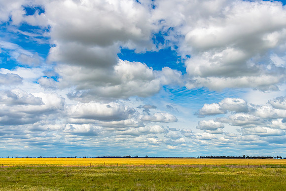Clouds over the golden pastures in the Riverina countryside