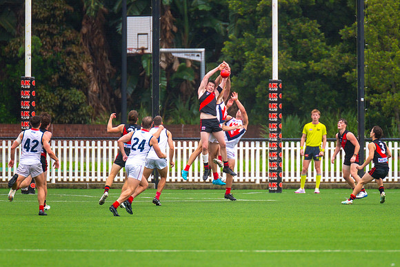 Rd 1 MPD - North Shore v Pennant Hills - 29 March 2025