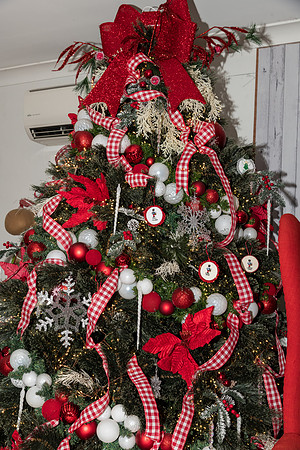 2022 Mel & Shane's Xmas Family Shoot