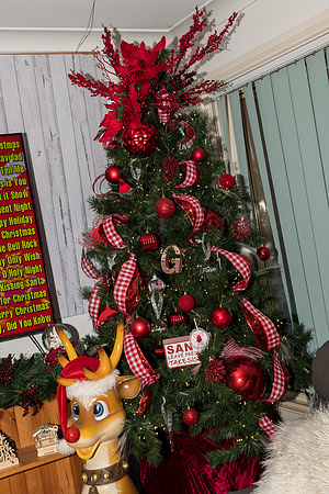 2022 Mel & Shane's Xmas Family Shoot