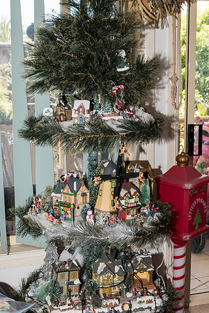2022 Mel & Shane's Xmas Family Shoot