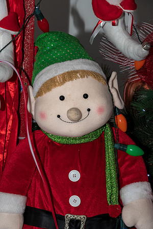 2022 Mel & Shane's Xmas Family Shoot