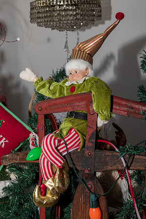 2022 Mel & Shane's Xmas Family Shoot