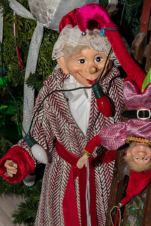 2022 Mel & Shane's Xmas Family Shoot