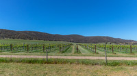 Wine region in the high country around Glenrowan in Victoria