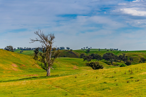 Riverina Countryside in Spring – Rolling Hills Under Clouded S