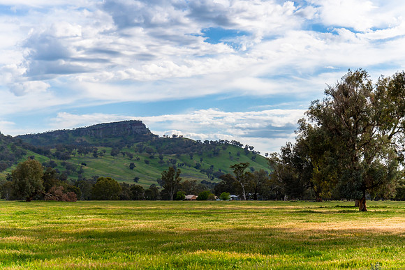 Rolling hills and gum trees in the Riverina Countryside