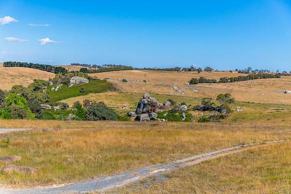 Summer's fields in the Upper Lachlan Shire countryside