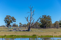 Rural countryside around Glenrowan in Victoria