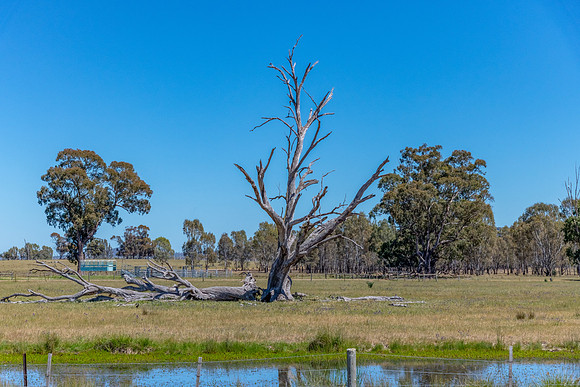 Rural countryside around Glenrowan in Victoria