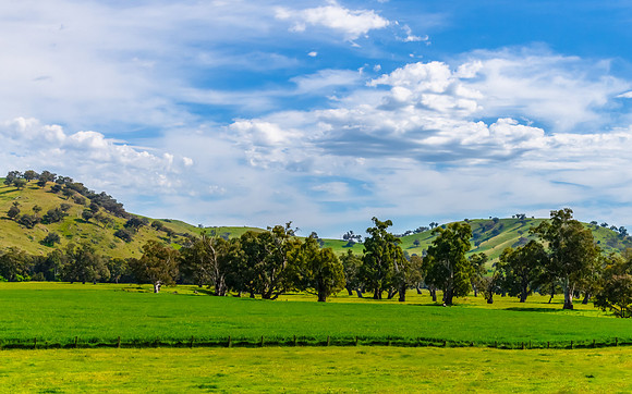 Riverina Countryside in Spring – Lush Fields Under Clouded Ski